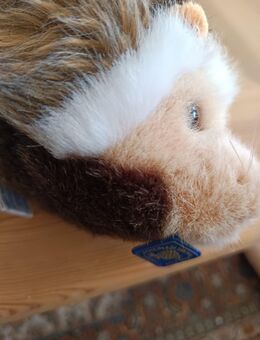 Steiff Igel mit Knopf im Ohr - Osnabrück