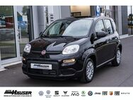 Fiat Panda, 1.0 Hybrid GSE 2024 CITY LANE, Jahr 2024 - Pohlheim