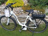 E-Bike neuwertig - Abensberg
