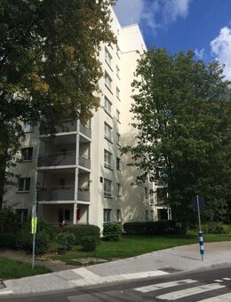 vermietete 2-Zi. Wohnung in Niederursel - Frankfurt (Main)