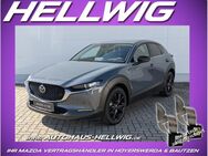 Mazda CX-30, 2.5 l (140PS) Homura 2025 NEU, Jahr 2022 - Hoyerswerda