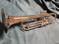 Trompete Scherzer Rino SG 66 Zylinder-Jazz-Trompete (senkrechte Drehventile) - Sebnitz Zentrum