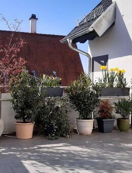 Stilvolle 4 Zimmer-Wohnung mit gehobener Innenausstattung und Balkon - nähe Fußgängerzone - Bruchsal