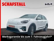 Kia Niro EV Edition 7 wenig KM Carplay Tempomat Kamera Alu - Bergheim (Nordrhein-Westfalen)