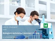 Biologisch-technischer Assistent (m/w/d) - Hofheim (Taunus)