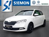 Skoda Fabia, 1.0 MPI Clever, Jahr 2021 - Münster