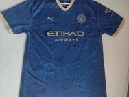 Manchester City Sondertrikot 2023/24 - Blau - Neu - Hude (Oldb)