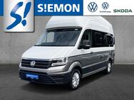 VW California, Grand California 600 TDI AT8, Jahr 2020 - Lengerich (Nordrhein-Westfalen)