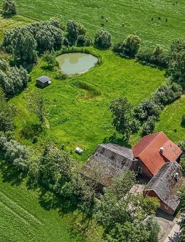 Ruheoase in Alleinlage mitten in der Natur! - Butjadingen