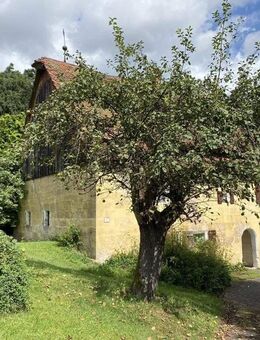 Romantische Mühle m. Scheune u. Nebengeb. in idyll. Lage bei Lauf zu verkaufen! Einzeldenkmal - Lauf (Pegnitz)