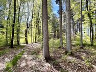 Waldgrundstück/ Freizeitgrundstück - Grebenhain