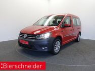 VW Caddy, 2.0 TDI Maxi Trendline, Jahr 2019 - Weißenburg (Bayern)