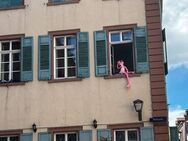 Charmantes 1-Zimmer-Apartment in Osnabrück - Osnabrück