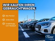 Audi Q2, 30 TDI S line, Jahr 2023 - Neumarkt (Oberpfalz)