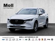 Mazda CX-5, 2.2 L 184PS AWD TAKUMI, Jahr 2024 - Düren