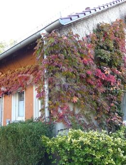 RIESIEGE Wohnfläche - RISIEGES Wohngefühl VIEL Platz für die Großfamilie! - Höxter