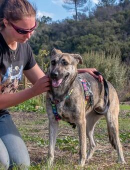 Jennifer traeumt vom grossen Glueck - Brunstorf