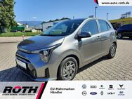 Kia Picanto, 1.2 Vision MJ25, Jahr 2024 - Achern