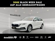 Skoda Octavia, Combi First Editon 110kw, Jahr 2021 - Niestetal