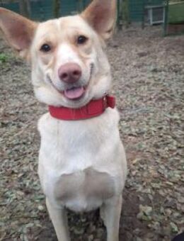 Mia, Powermädchen - Bad Belzig