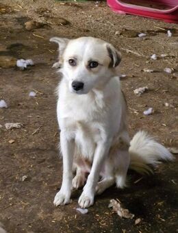 Taylor, freundlich, aufgeschlossen - Bochum