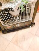 Zibrio Kamin Petroleum Ofen 80,00 Euro Abholpreis in Chemnitz in 09126