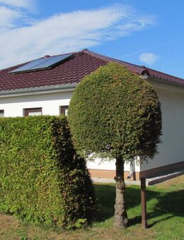 ZEIT ZUM HANDELN-OSTSEEHALBINSEL-ZINGST- 2 WOHNUNGEN IN EINEM HAUS- - Zingst (Ostseebad)