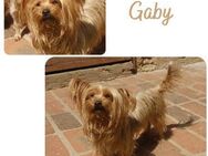 Gaby - Wendelstein