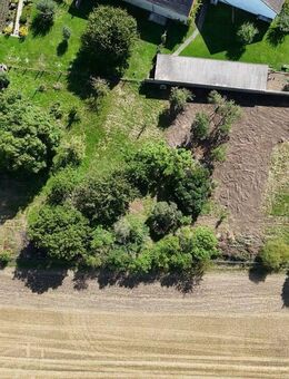 Traumhafter Bauernhof mit über 400 qm Nutzfläche und 3000 qm Land - Niedergörsdorf
