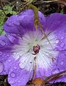 Seelsorge – Heilung für Herz und Seel in 21335