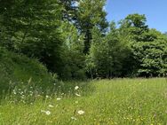 TRAUMHAFT WOHNEN AM WALDRAND - IN IHREM NEUEN FAMILIENZUHAUSE! TEL. 01714863595 - Neukirchen (Erzgebirge)