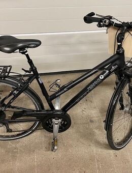 Pegasus City Bike 27 Gang - Weidenberg
