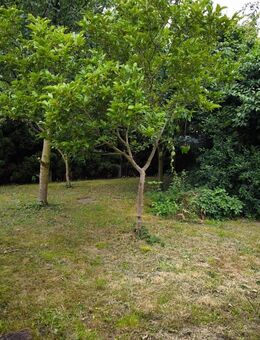 Doppelhaus im Bungalowstil mit Garten und Nebengelass - geeignet für Mehrgeneration - Schkeuditz