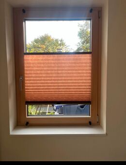 Innen Jalousie Plissee - Lindau (Bodensee)