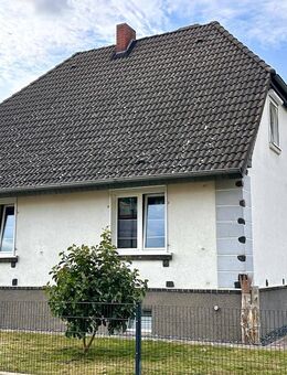 HORN IMMOBILIEN ++ Einfamilienhaus in Löcknitz mit Pool, Gästehaus / Büro und Doppelgarage - Löcknitz