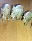 Jade Elefanten Familie in 53773