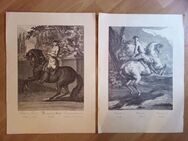 Druck, Pferd Bilder Johann Elias Ridinger Reiter, Kunst selten sammeln 2 Stück - Siegen (Universitätsstadt)