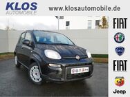 Fiat Panda, 1.0 HYBRID GSE 70PS E6D FINAL, Jahr 2024 - Marpingen