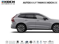 Volvo XC60, B4 D AWD Plus Dark, Jahr 2024 - Berlin