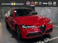 Alfa Romeo Giulia Veloce 2.0 Turbo AT8-Q4 19'-LM MATRIX-LED - Altenkirchen (Westerwald)