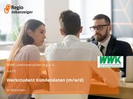 Werkstudent Kundendaten (m/w/d) - München