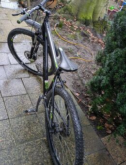 Carver PHT 920 Hardtail Mountainbike 29 - Duisburg