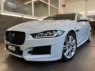 Jaguar XE R-Sport Navi Leder Bi-Xenon 4xSHZ LenkHzg - Cottbus