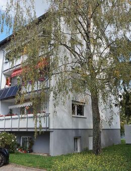 ***1,5-Zi.-Wohnung in Hagenbach*** - Hagenbach