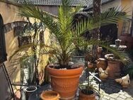 Mediterranes Wohnen: Charmantes Haus mit toskanischem Innenhof - Speyer