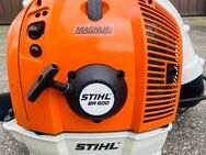 Laubbläser Stihl BR 600 Magnum - Sinzheim