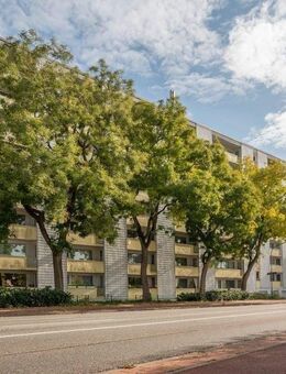 Zentrale Eigentumswohnung in Nordhorn - Nordhorn