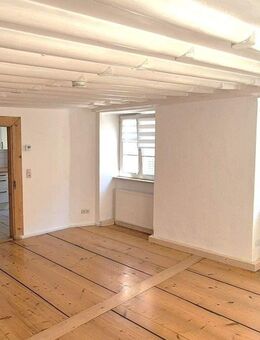 Traum-Dachterrasse mit Traum-Wohnung - Altstadt Konstanz - Konstanz