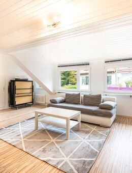 Möbliertes 1-Zimmer Apartment - Rickenbach