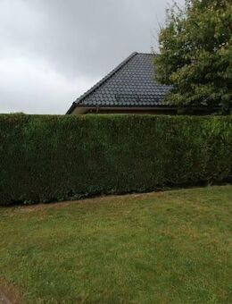 Gemeinsam eine lohnende Partnerschaft getrennt lebend gestalten! Freue mich auf Ihr Interesse an diesem weiteren Beziehungsmodell! - Itzehoe